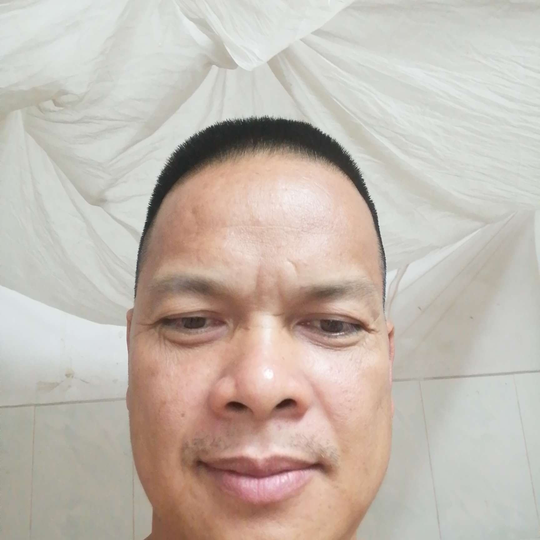 老实用玫瑰的照片