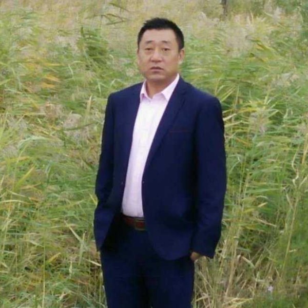 尔玛雄鹰的照片