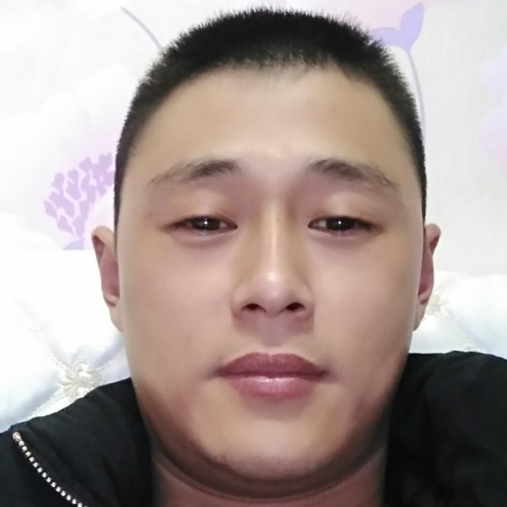 烂漫老鼠的照片