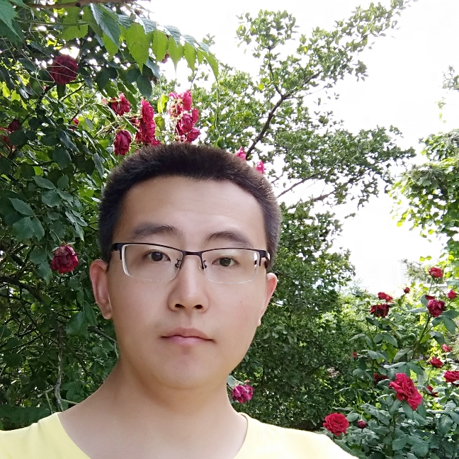 平淡饼干的照片