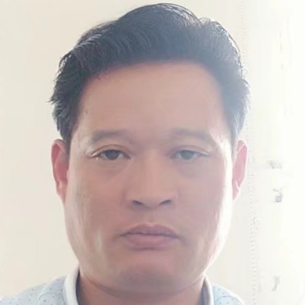 现实深拥大树的照片