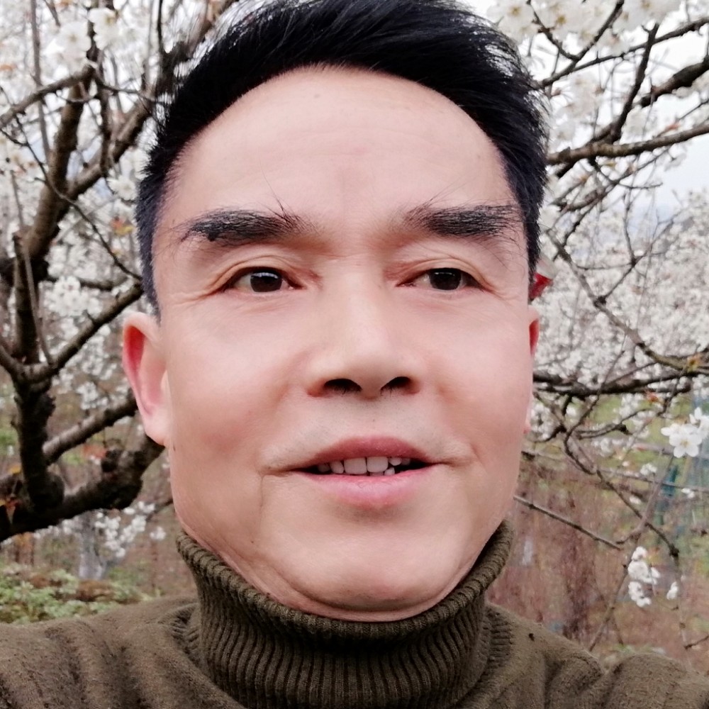枕头演变迷离的照片