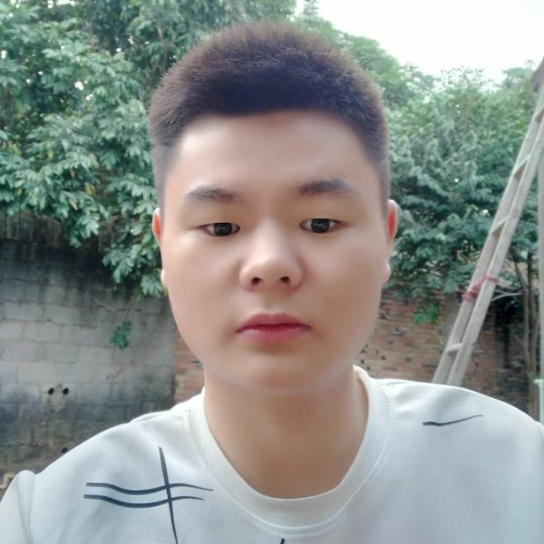 细心等于金毛的照片