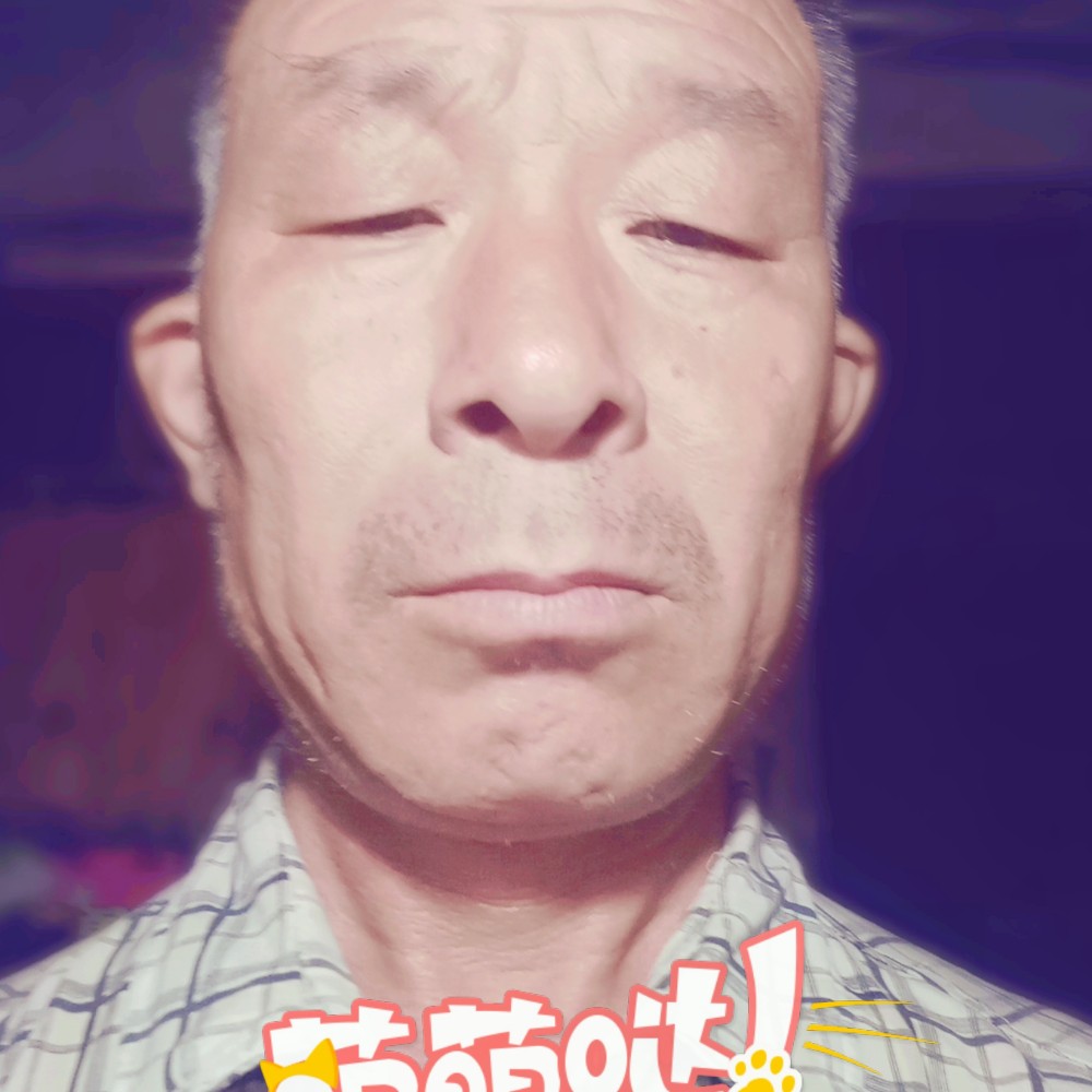 眯眯眼相许刺猬的照片