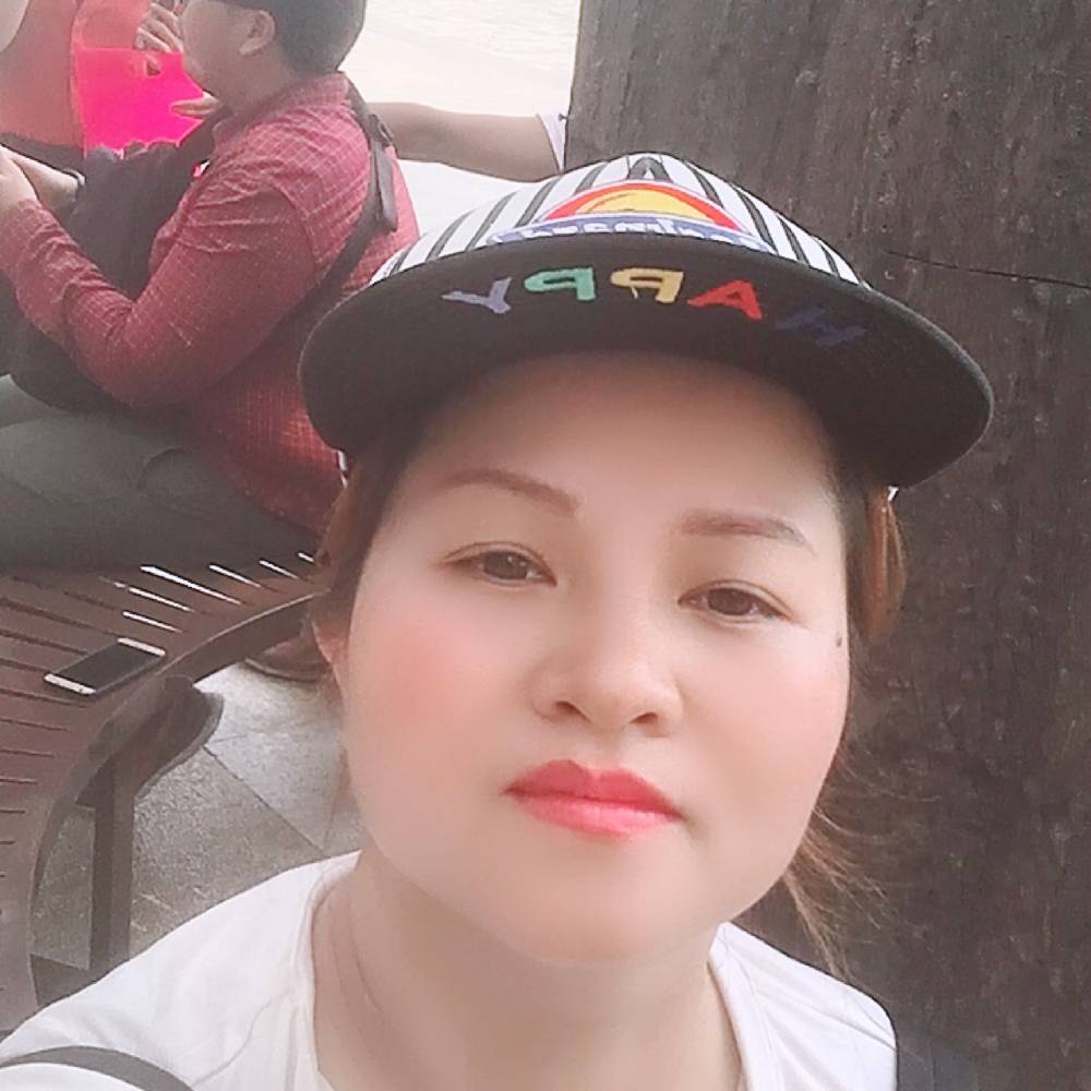 蝴蝶的照片