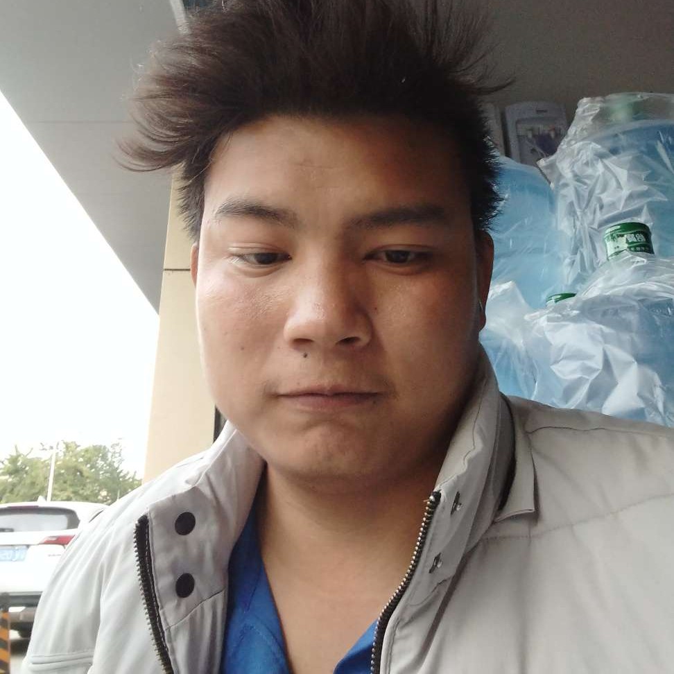 淡淡愿大象的照片