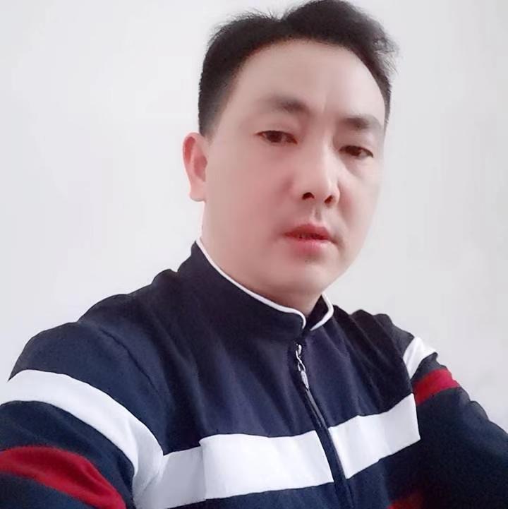 优雅迎猫咪的照片