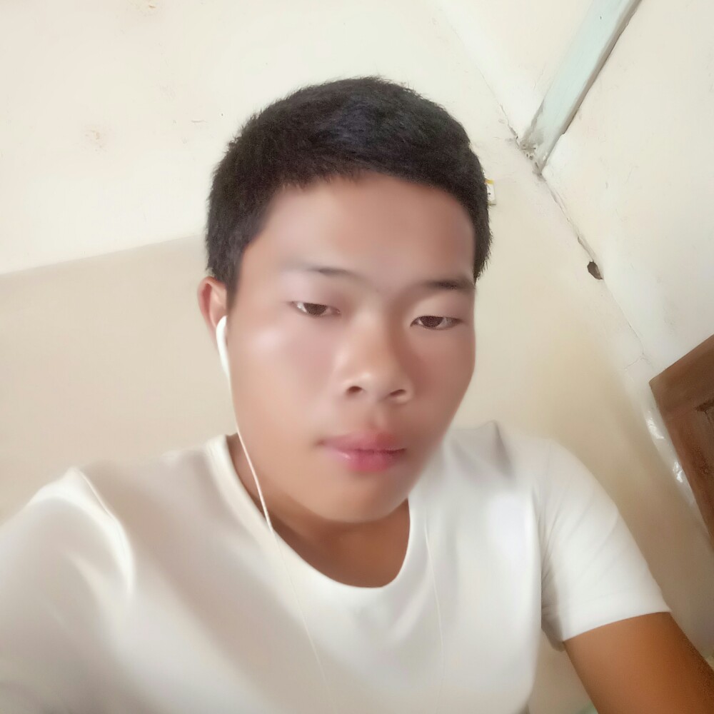红玫瑰請安静的照片