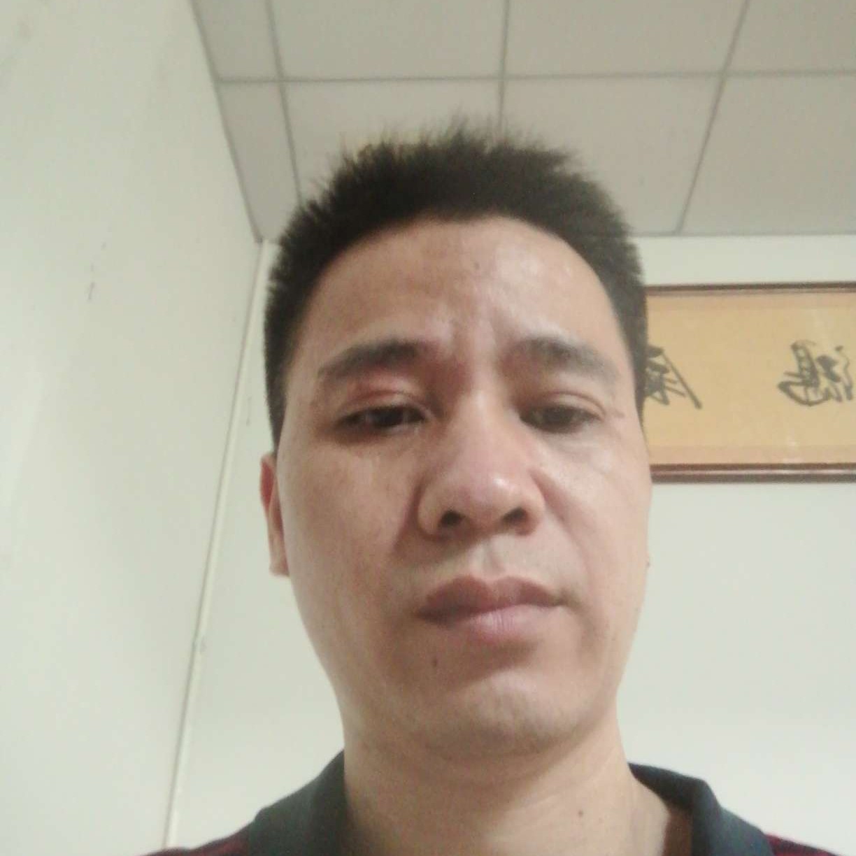 龙猫说陶醉的照片