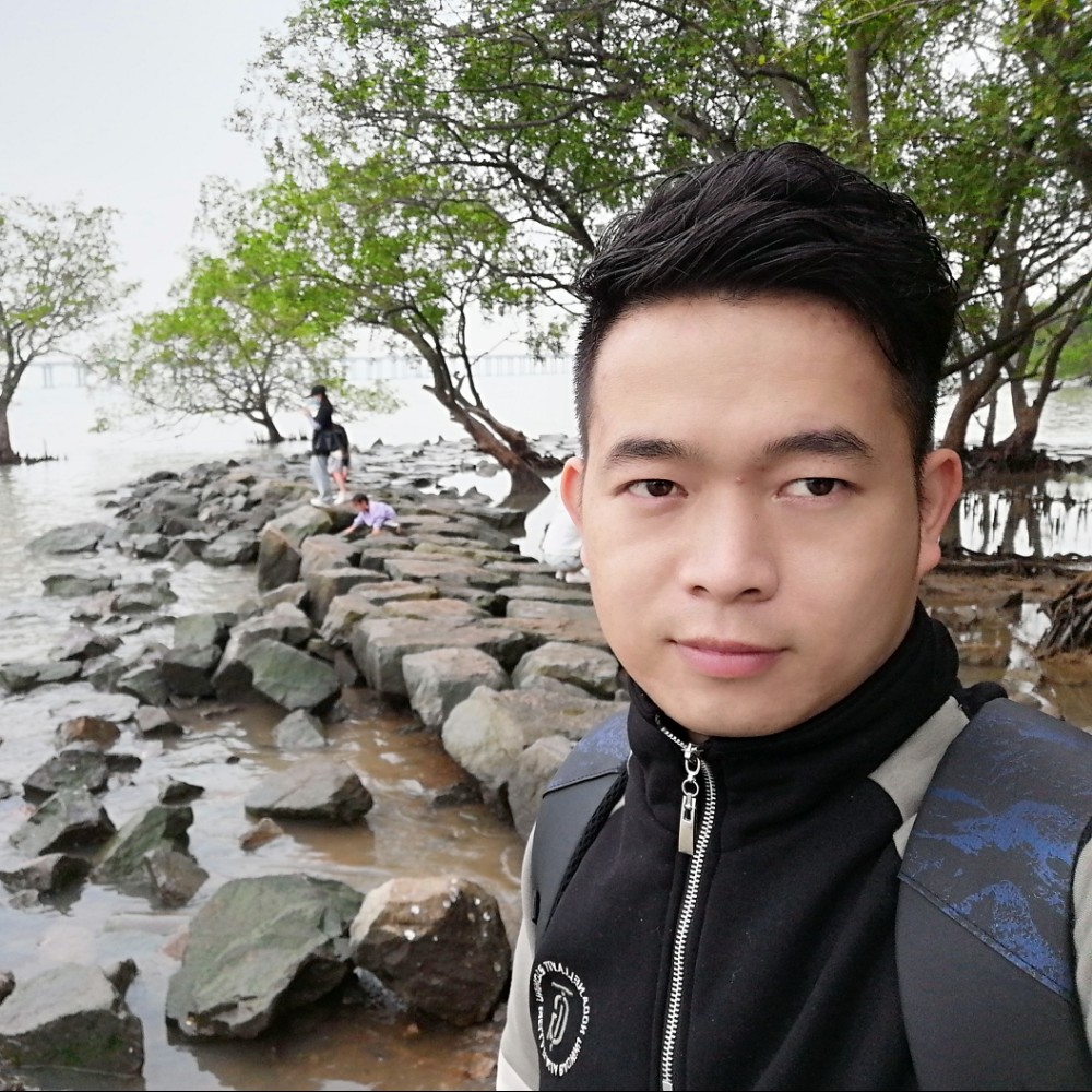 傻傻保卫小蘑菇的照片