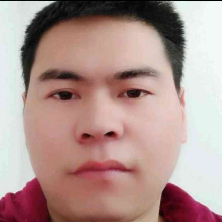 直率向灰狼的照片