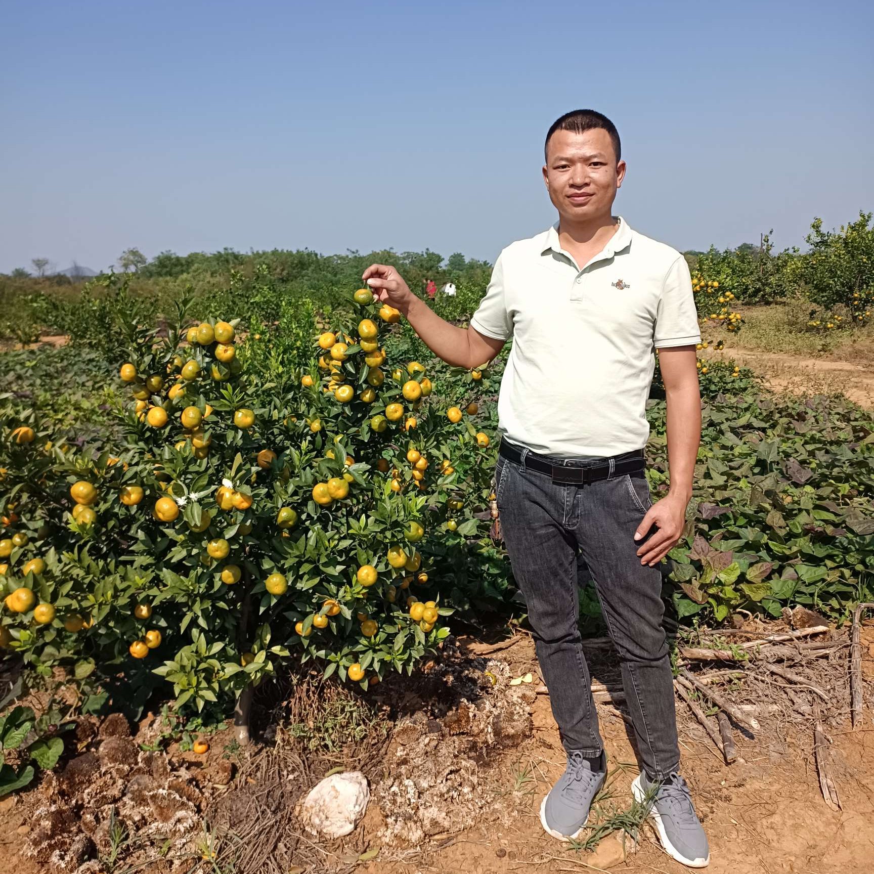 w此生只为遇见你的照片