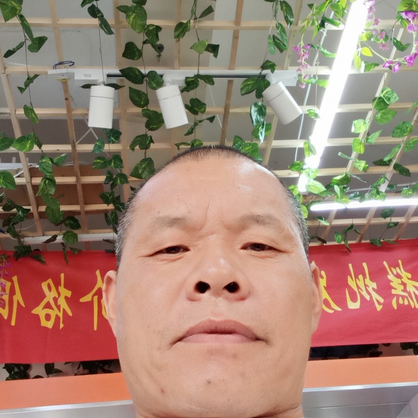 不解的拾忆河马的照片