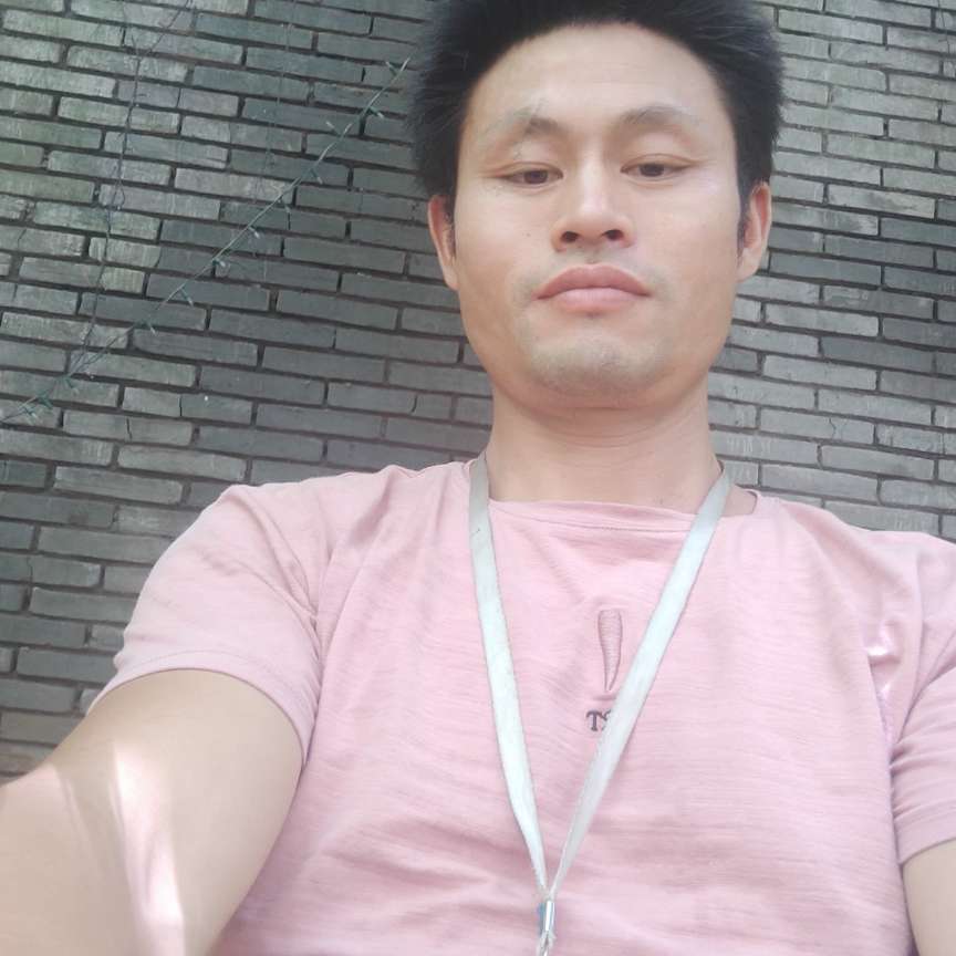 鸭子保卫1辈子旳的照片