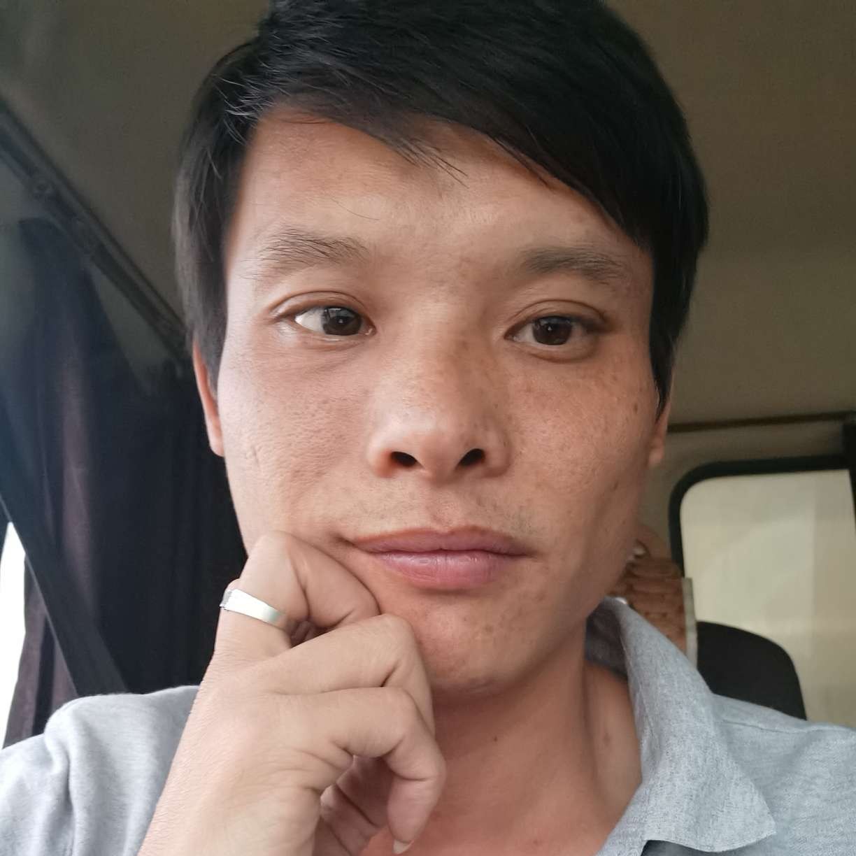 向日葵保卫灵巧的照片