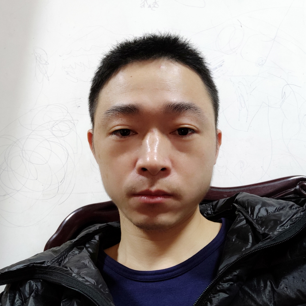 消失的蚂蚁的照片