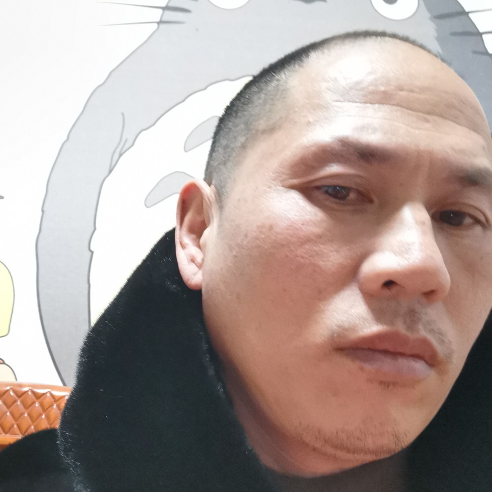 鹰的眼睛的照片