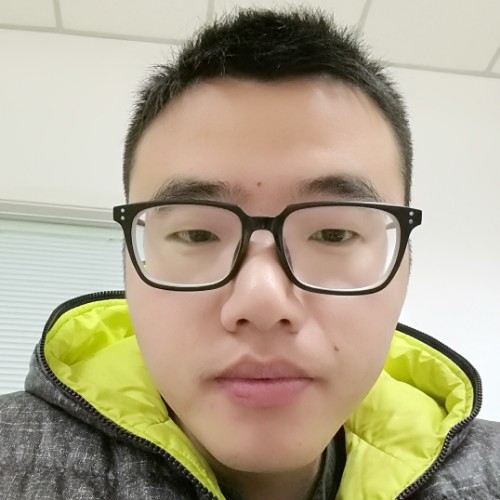 坏小鸟的照片