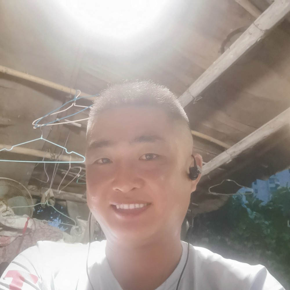 忠诚的狗的照片