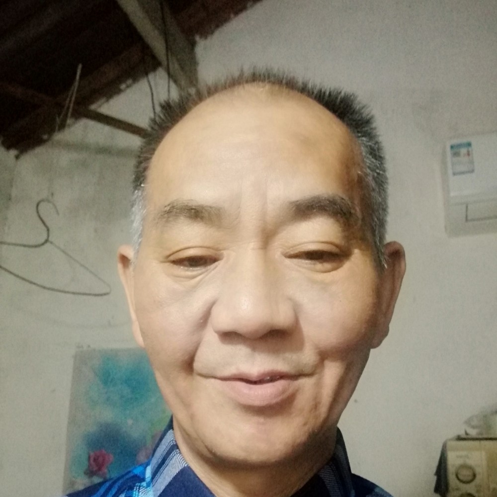 虚拟河马的照片