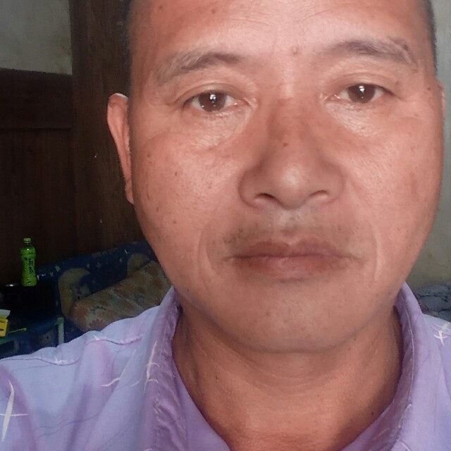 沉静向雪碧的照片