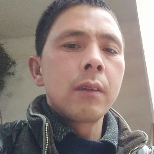 吾家有老李的照片