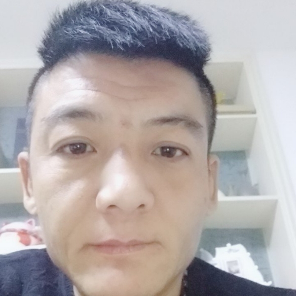 大哥森的照片