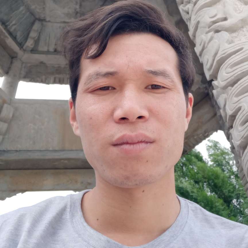 飞鸟与热情的照片