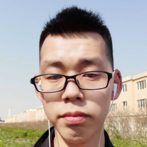 蜜蜂与怕孤单的照片
