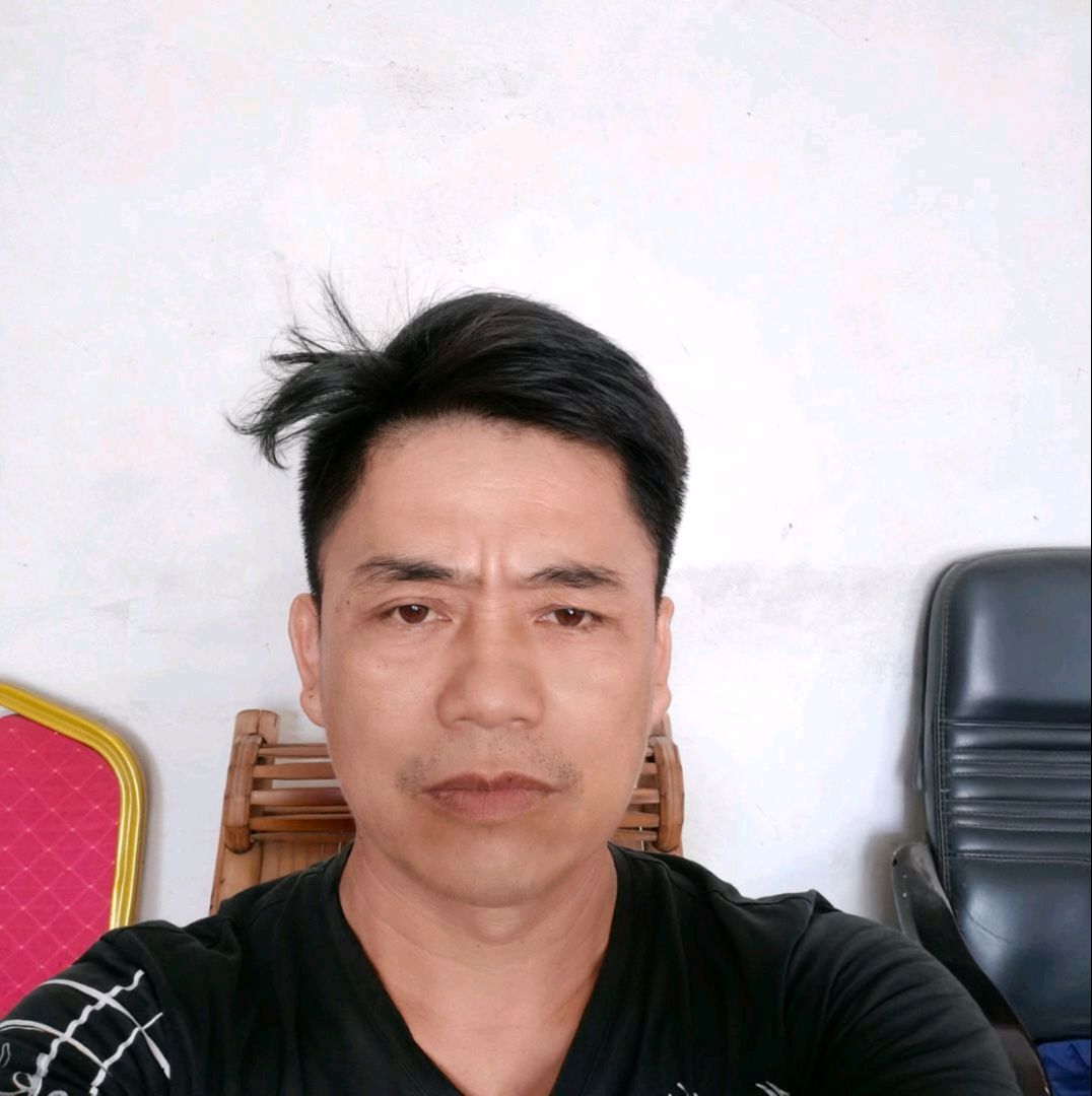 飞鸟落寞的照片