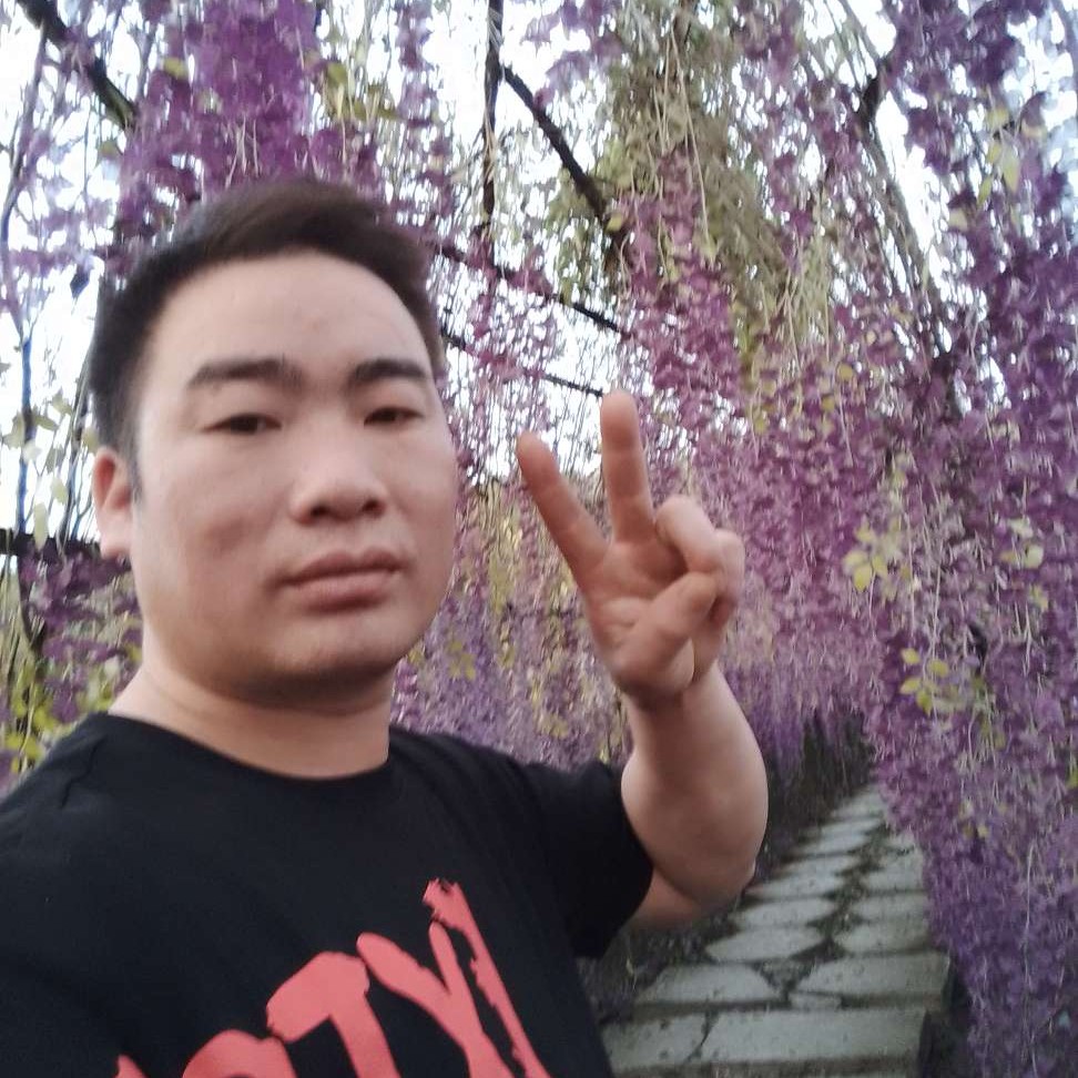 碧影演变聪明的照片