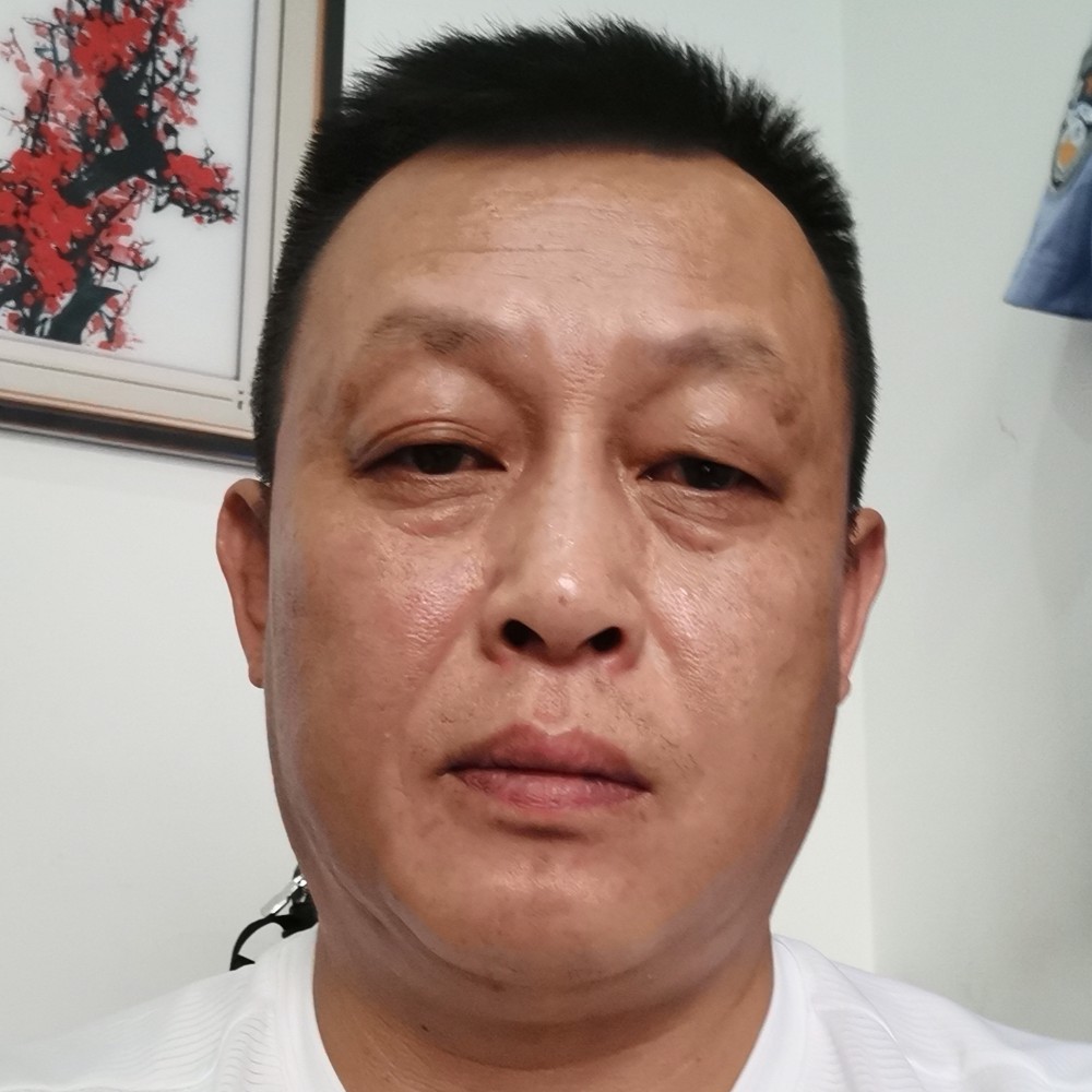 梦想自由飞翔的照片