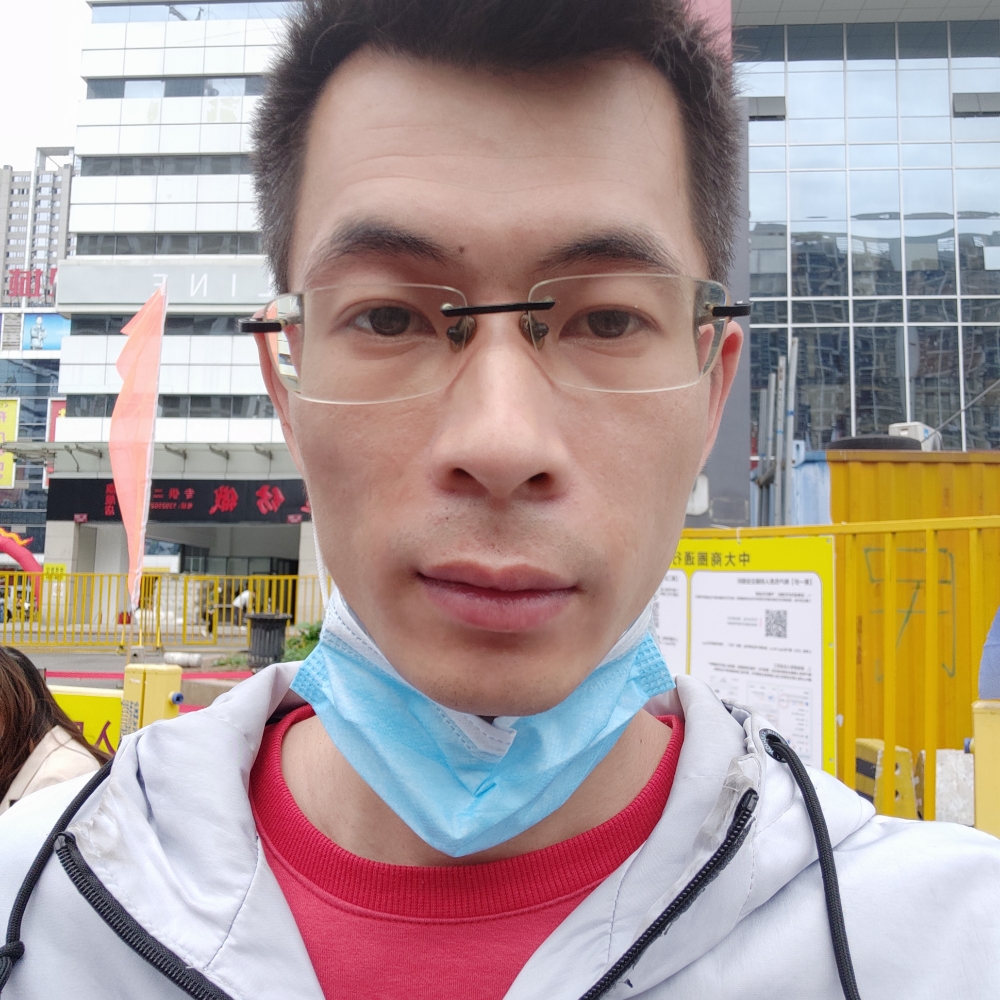 阳光下的孤影的照片