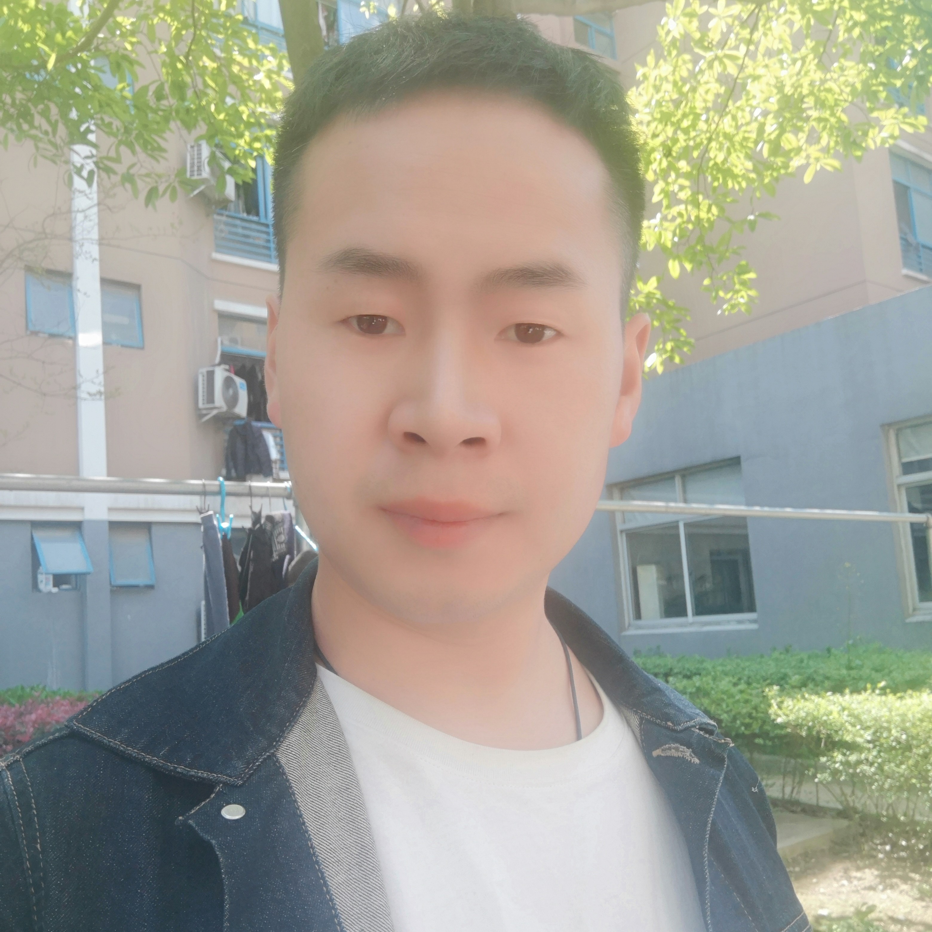 默默拾忆小鸽子的照片