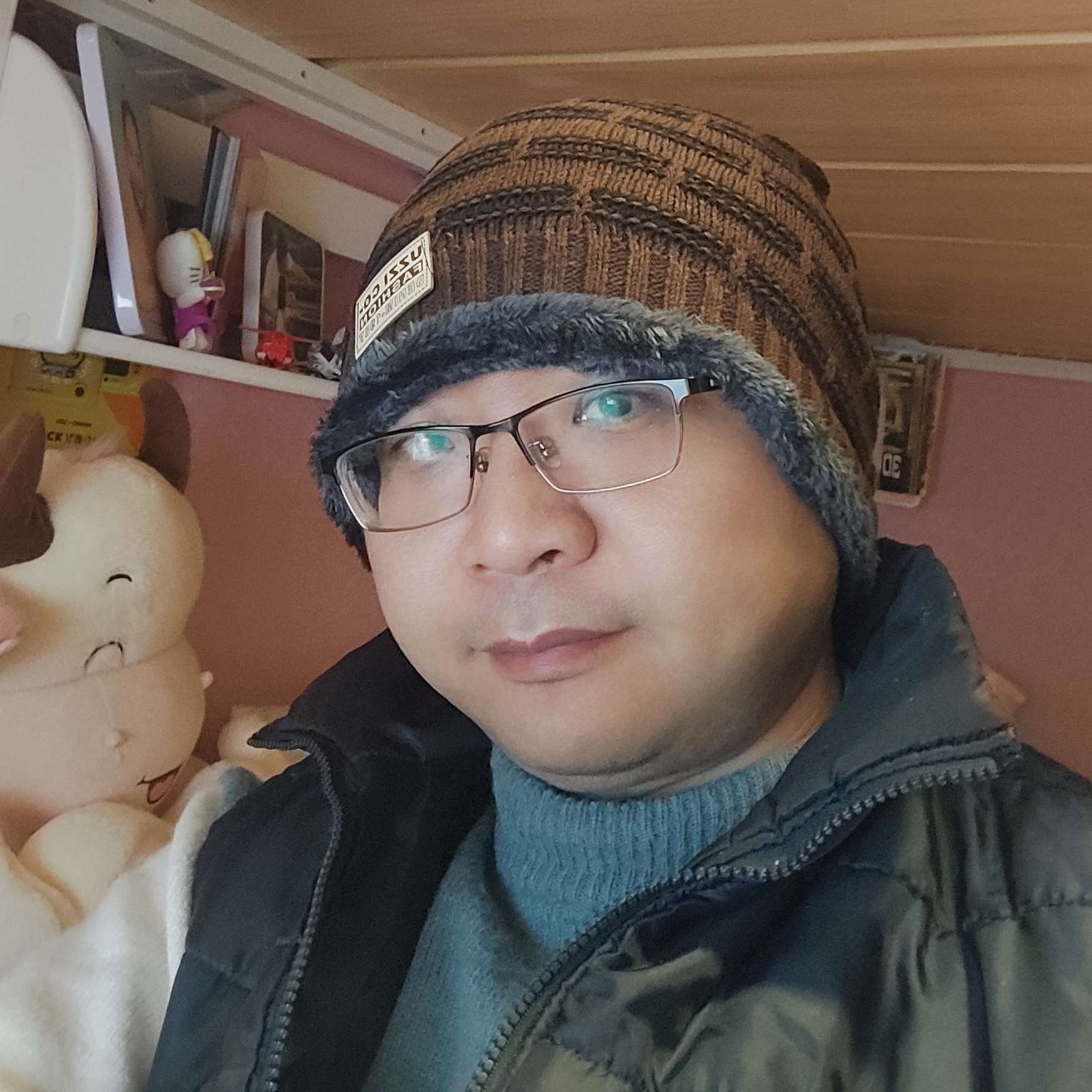 冰落叶的照片