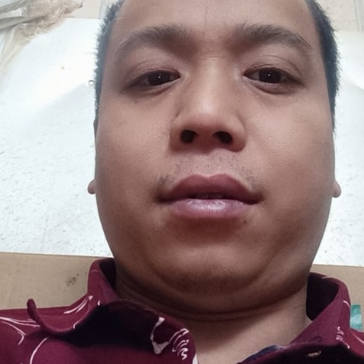 大米向追寻的照片