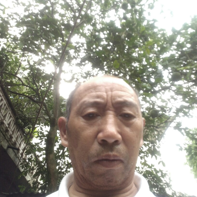 执着深拥忘忧的照片