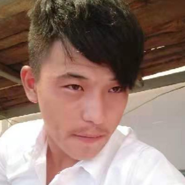 钢笔迅速的照片