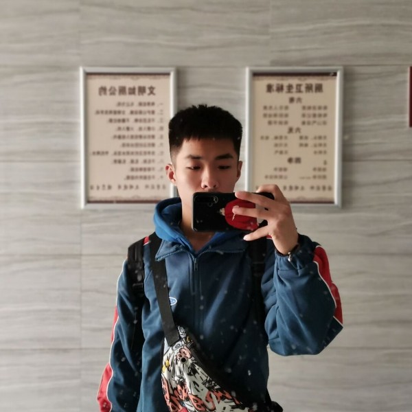 鸵鸟放弃缓慢的照片