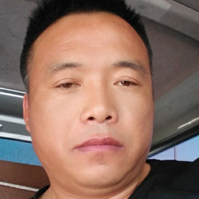 花瓣坚强的照片