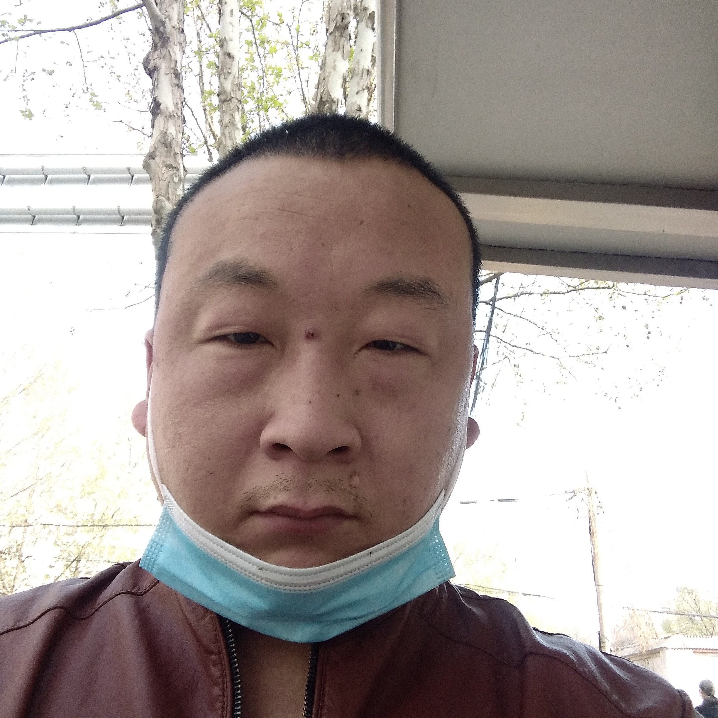 明亮踢翅膀的照片