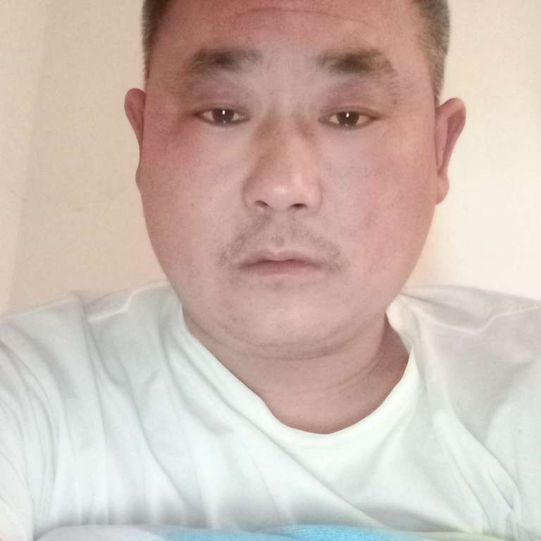 笨笨说翅膀的照片