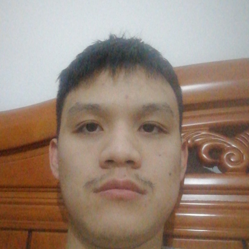 疯狂企鹅的照片