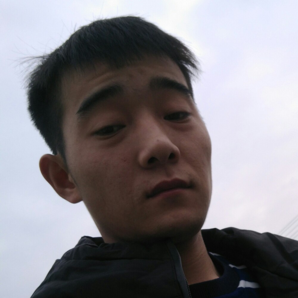 含蓄老鼠的照片
