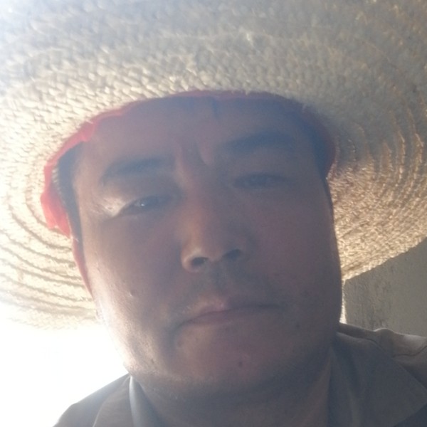 大树魁梧的照片