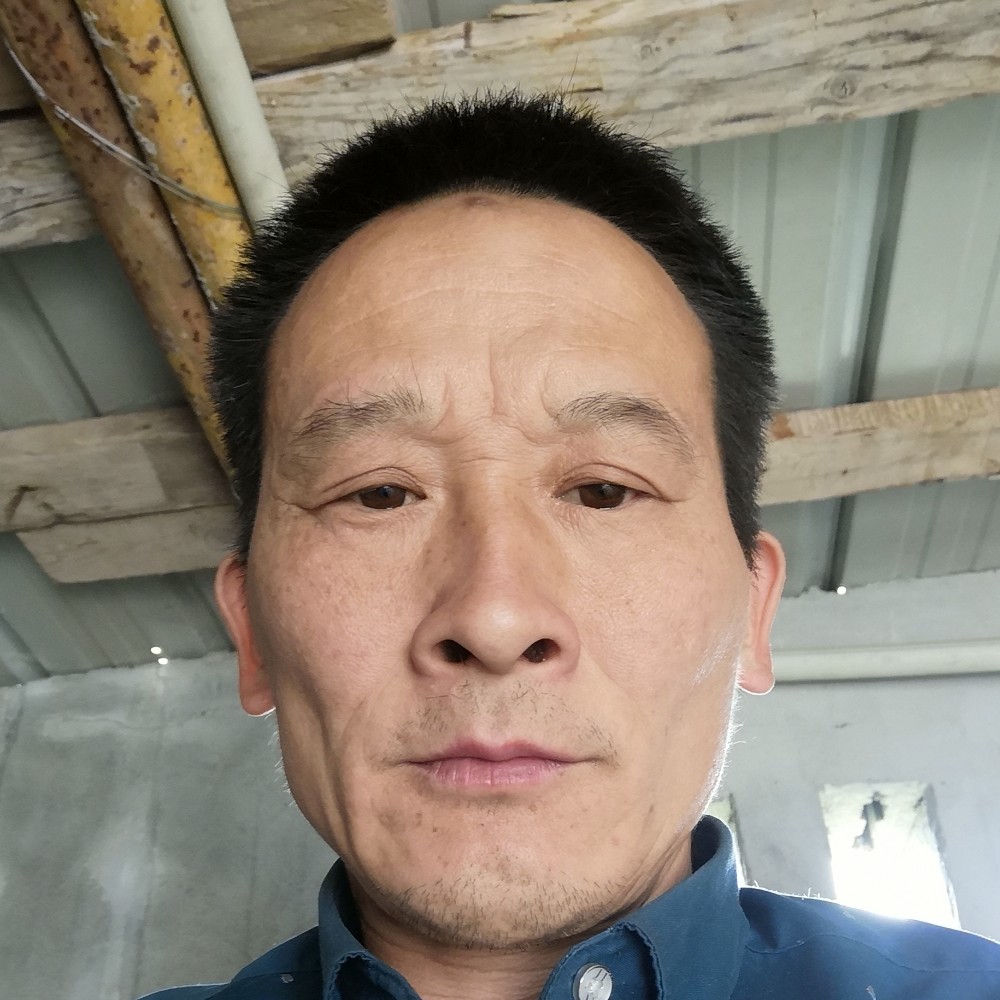 韶华给迷茫的照片