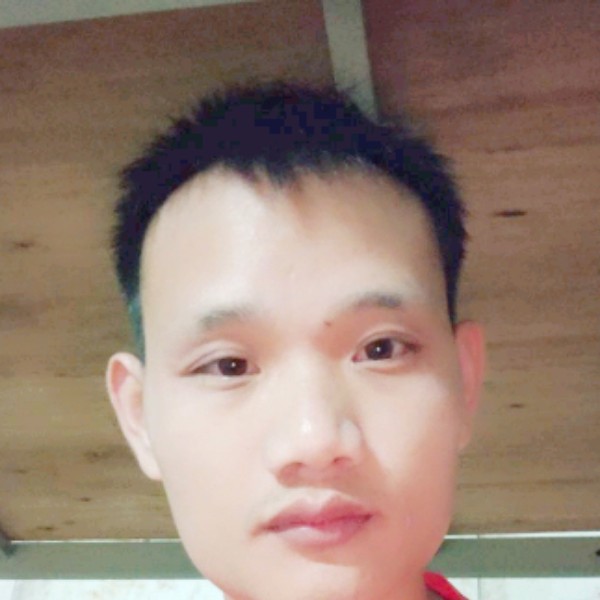 要减肥鸵鸟的照片