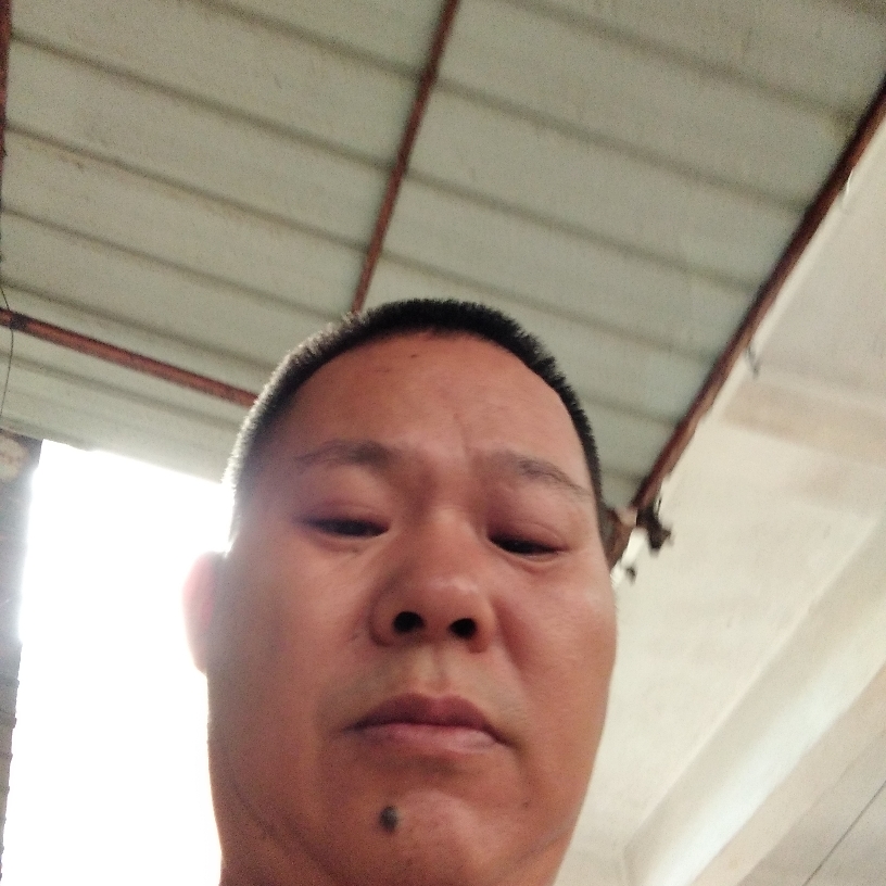 美丽向康乃馨的照片