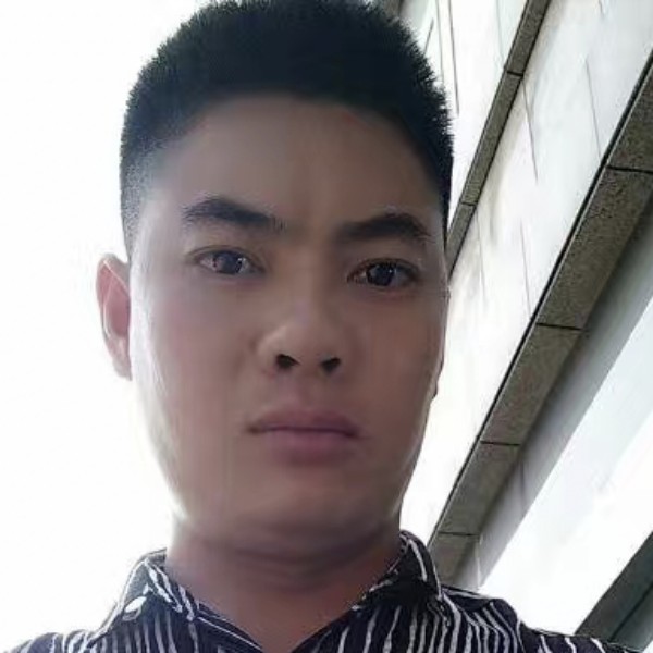 优雅凝眸犀牛的照片