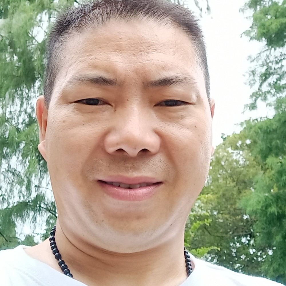 小松鼠活力的照片